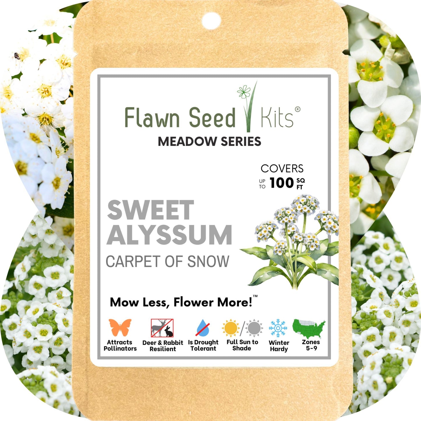 Sweet Alyssum Carpet Of Snow Seed Pouch