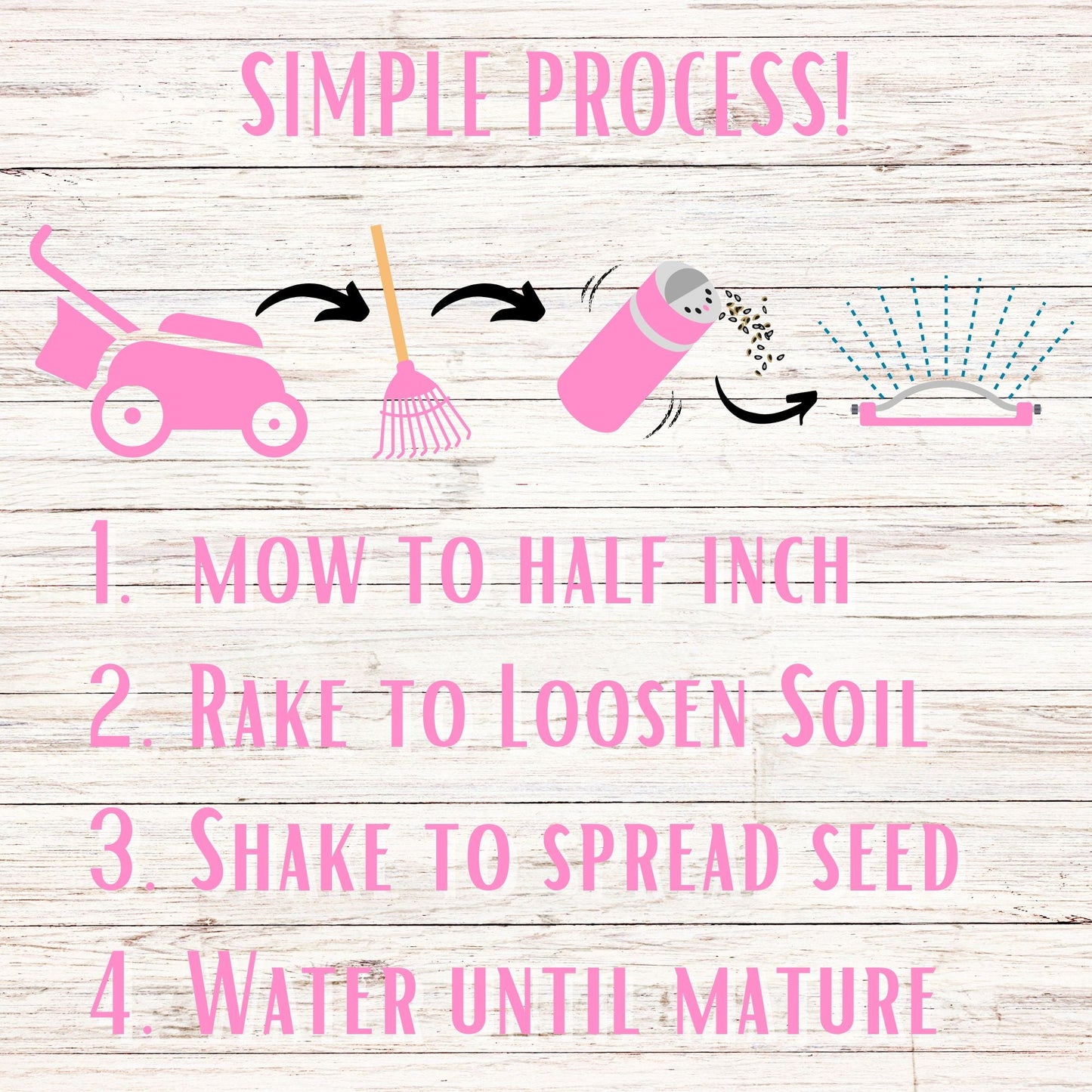 Creeping Thyme Easy Spread Shaker