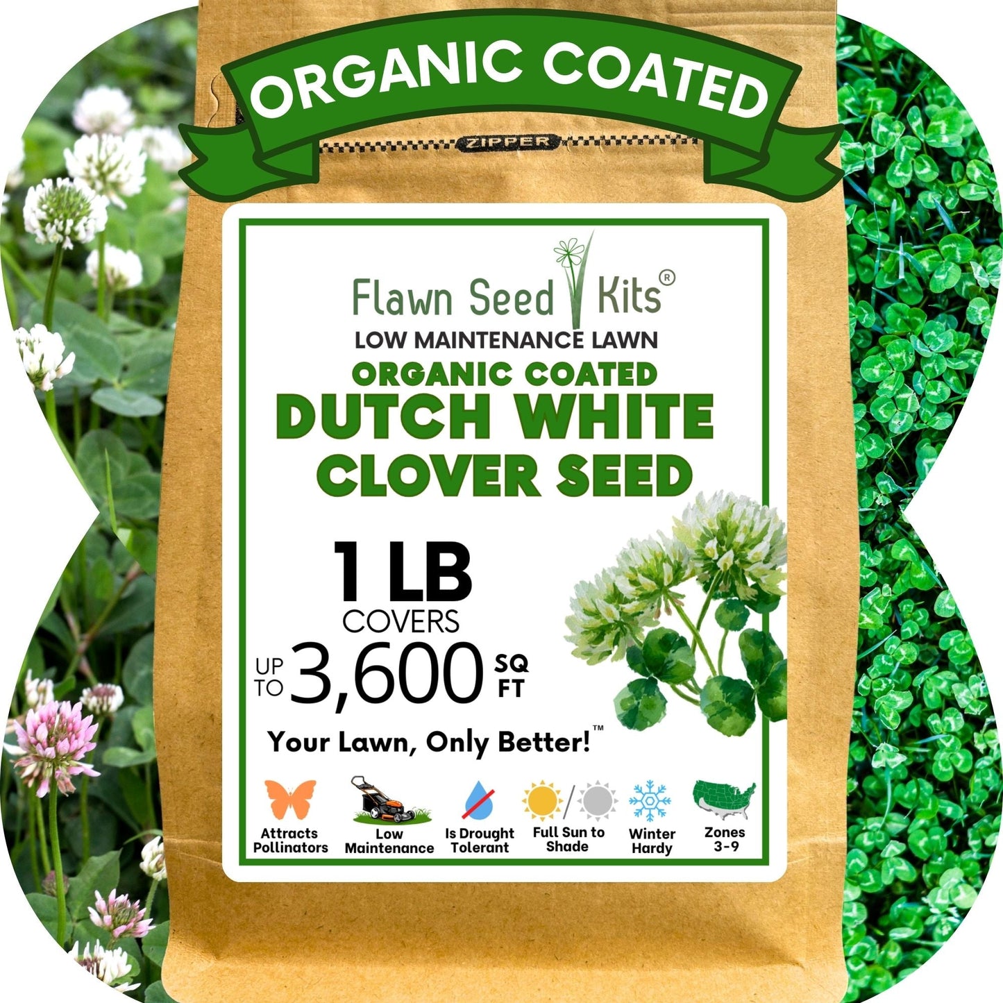 Dutch White Clover Seed