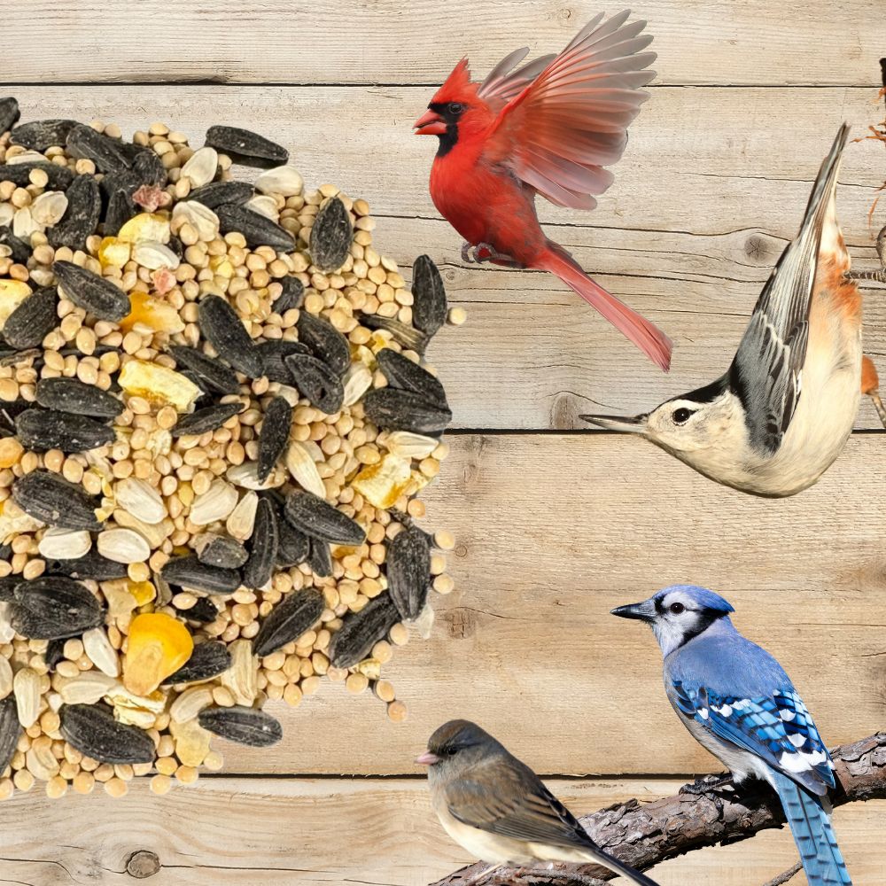 Pollinator & Wild Bird Seed Thick Bee Lawn Blend