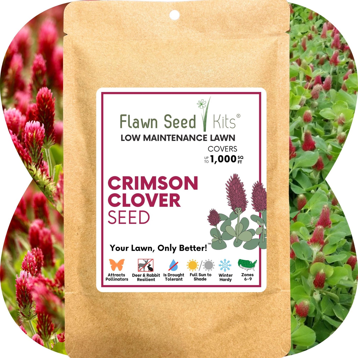 Crimson Clover Seed