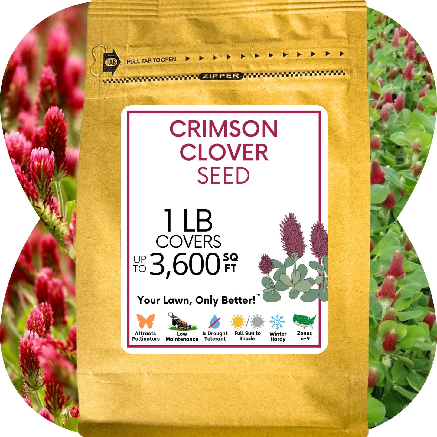 Crimson Clover Seed
