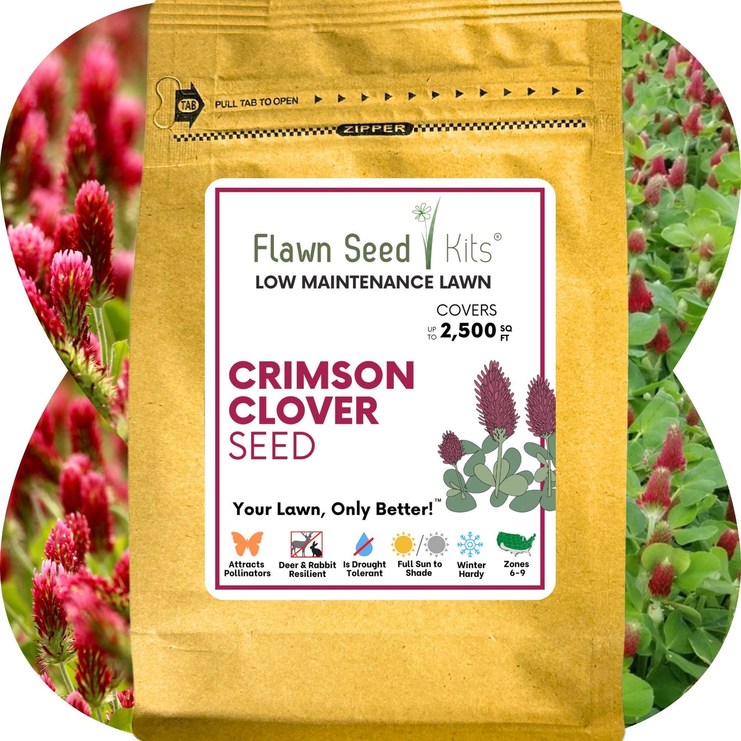 Crimson Clover Seed