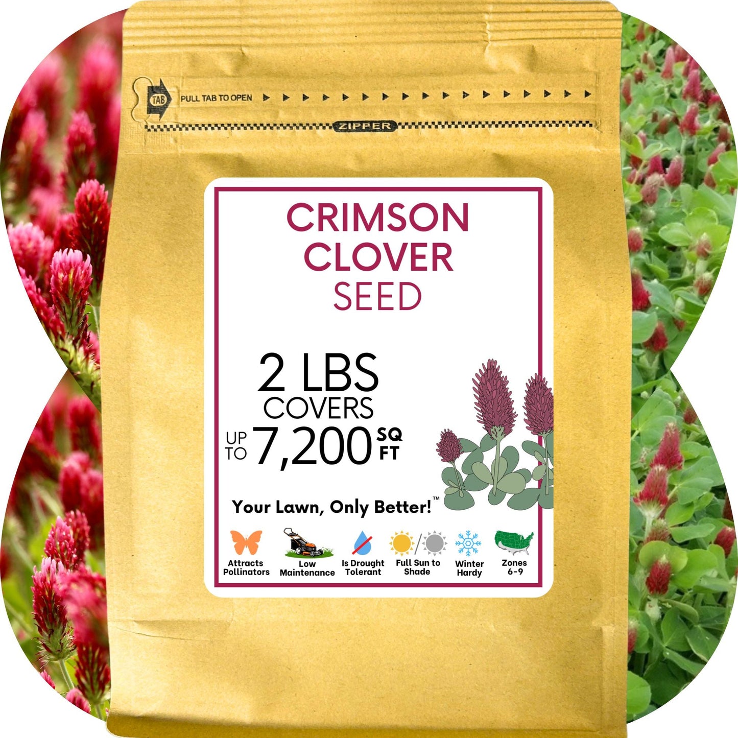 Crimson Clover Seed