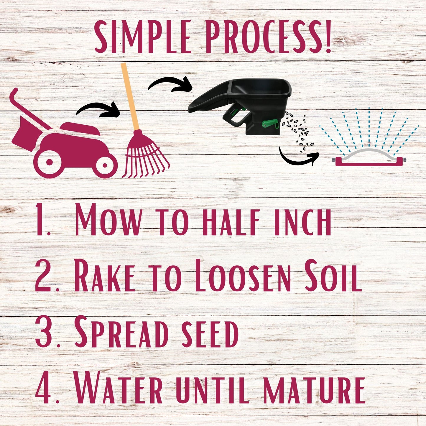 Crimson Clover + Mow Less Grass Seed