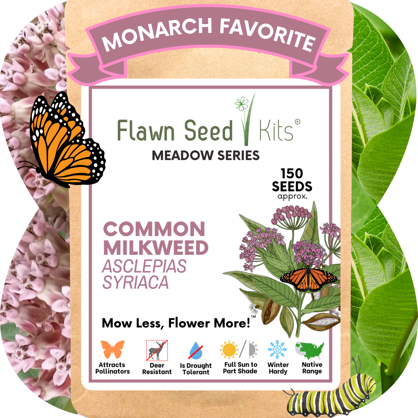 Common Milkweed Seed Pouch