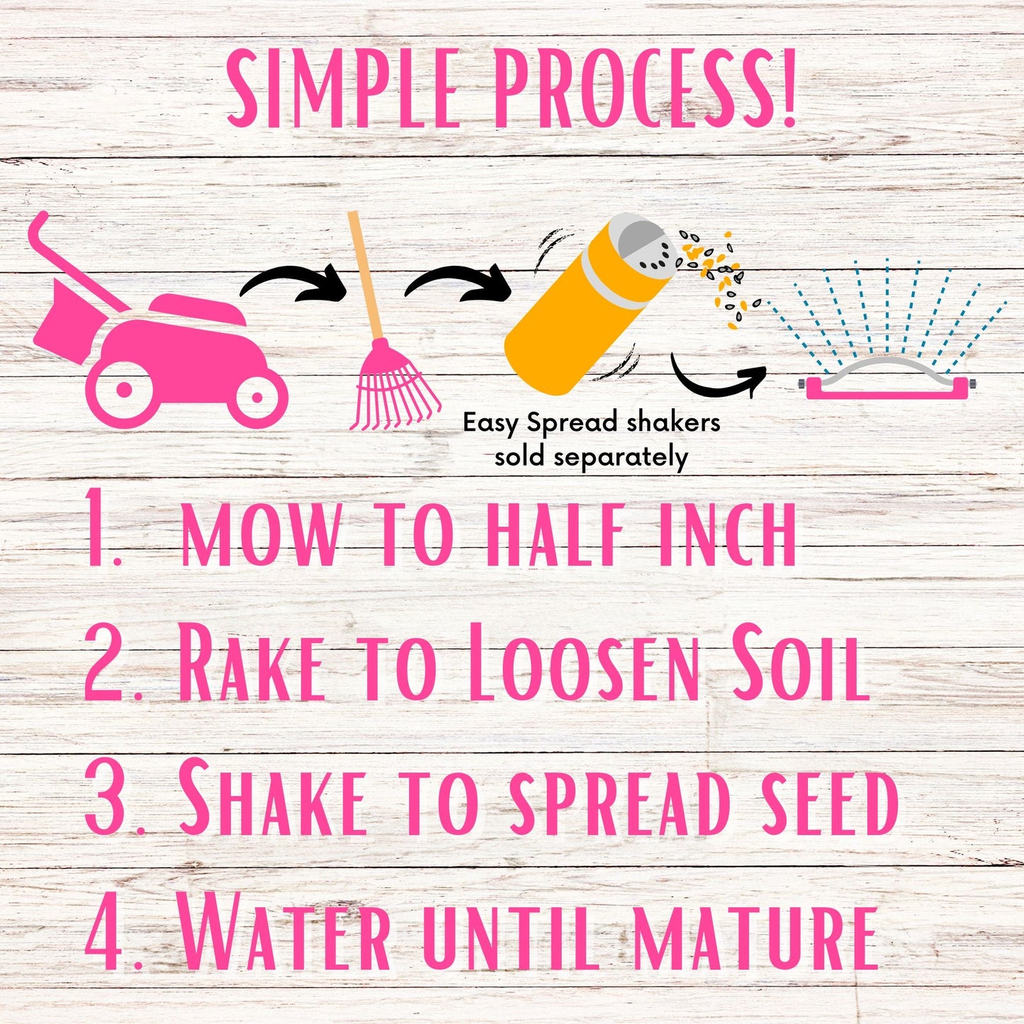 Sweet Alyssum Royal Carpet Seed Pouch