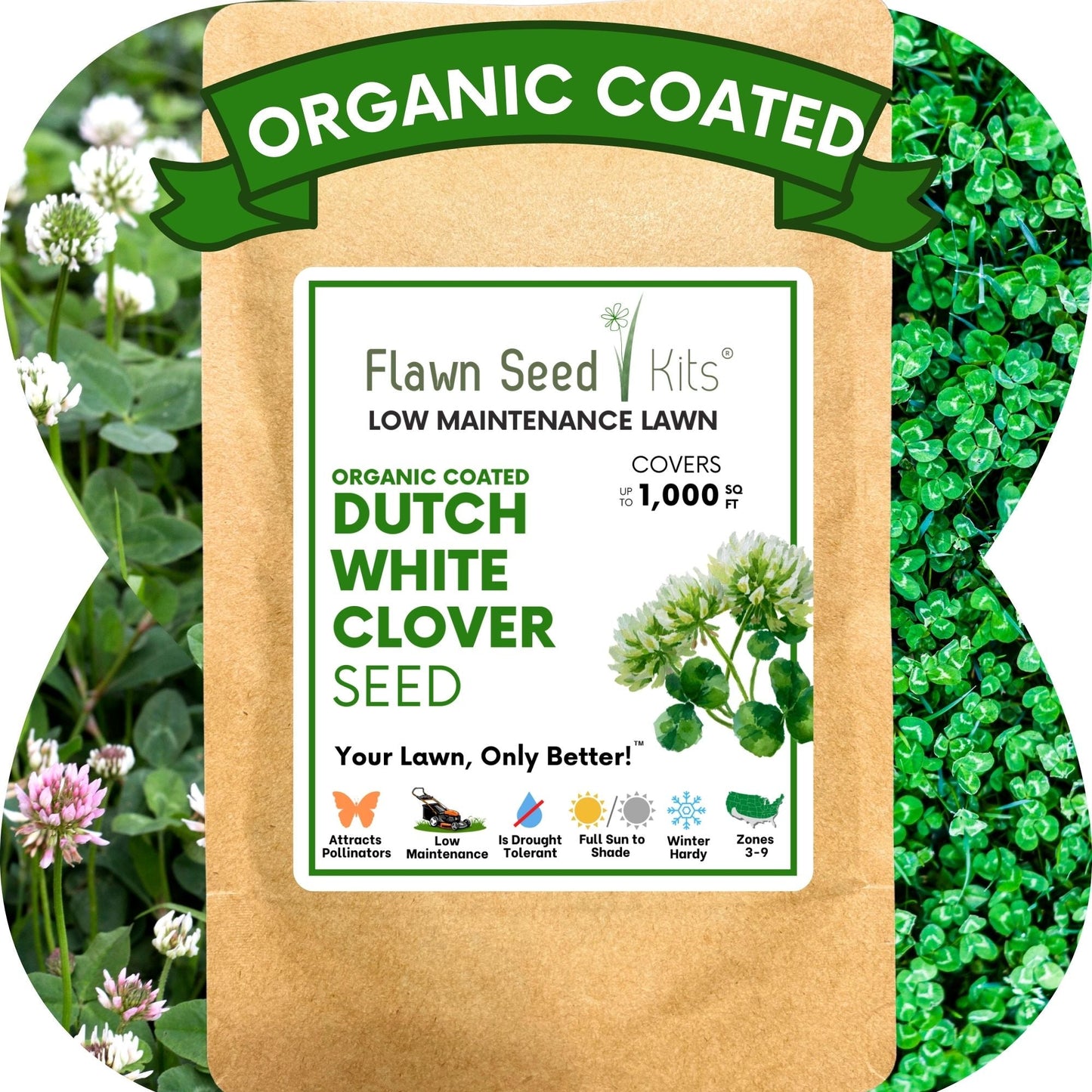 Dutch White Clover Seed