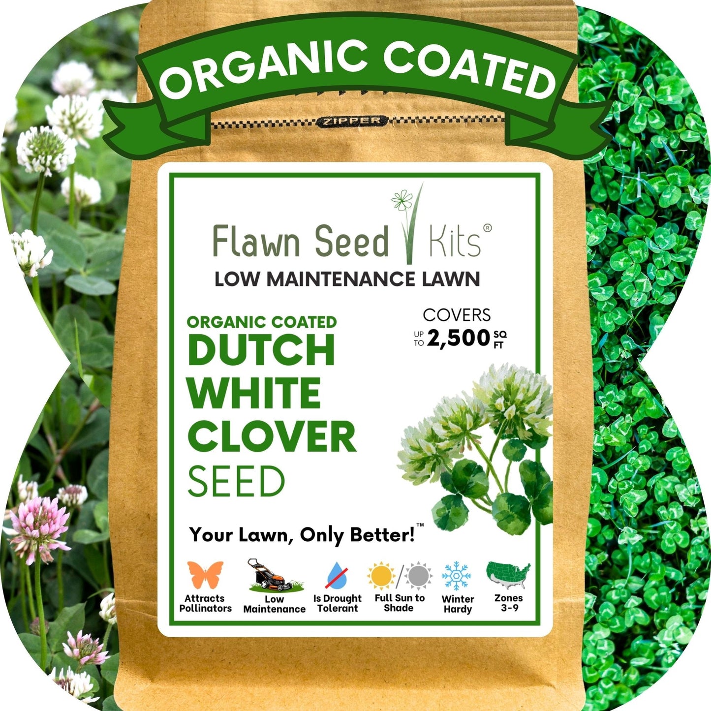 Dutch White Clover Seed