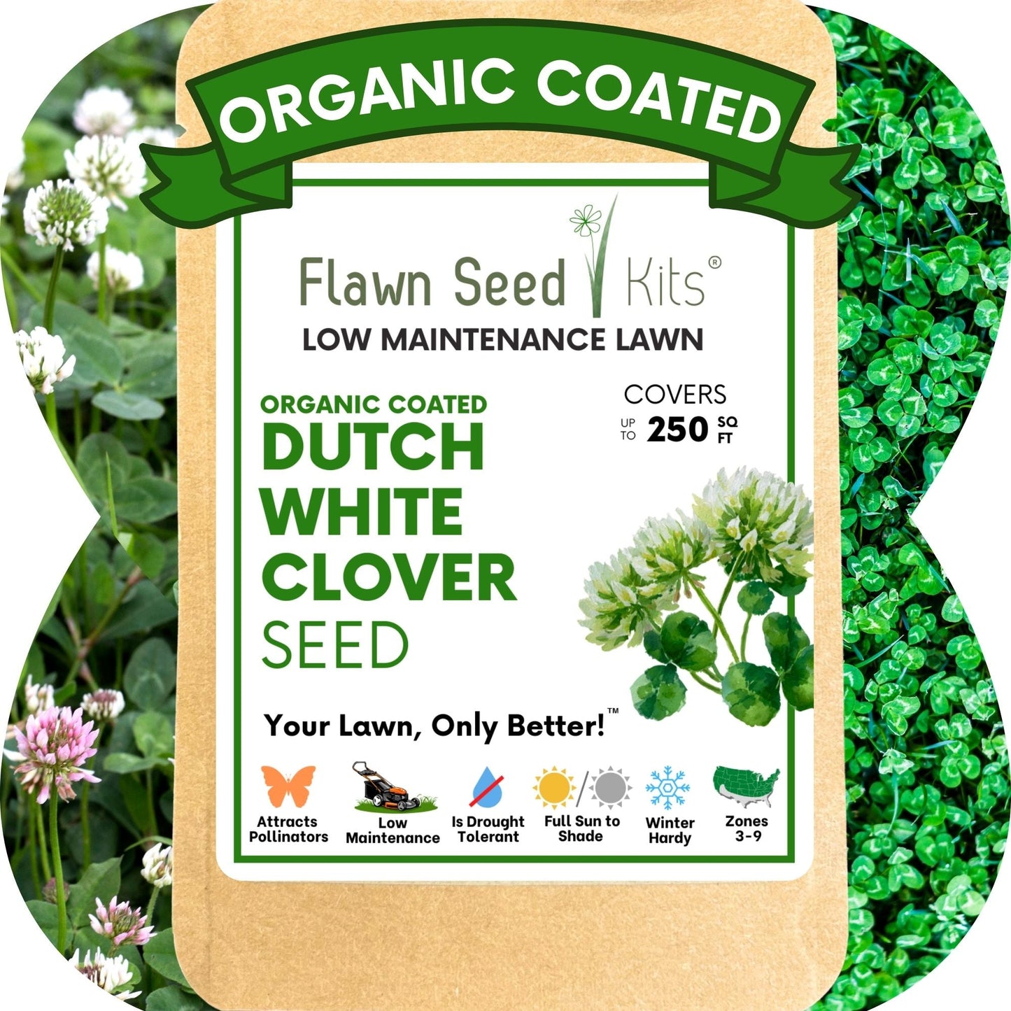Dutch White Clover Seed