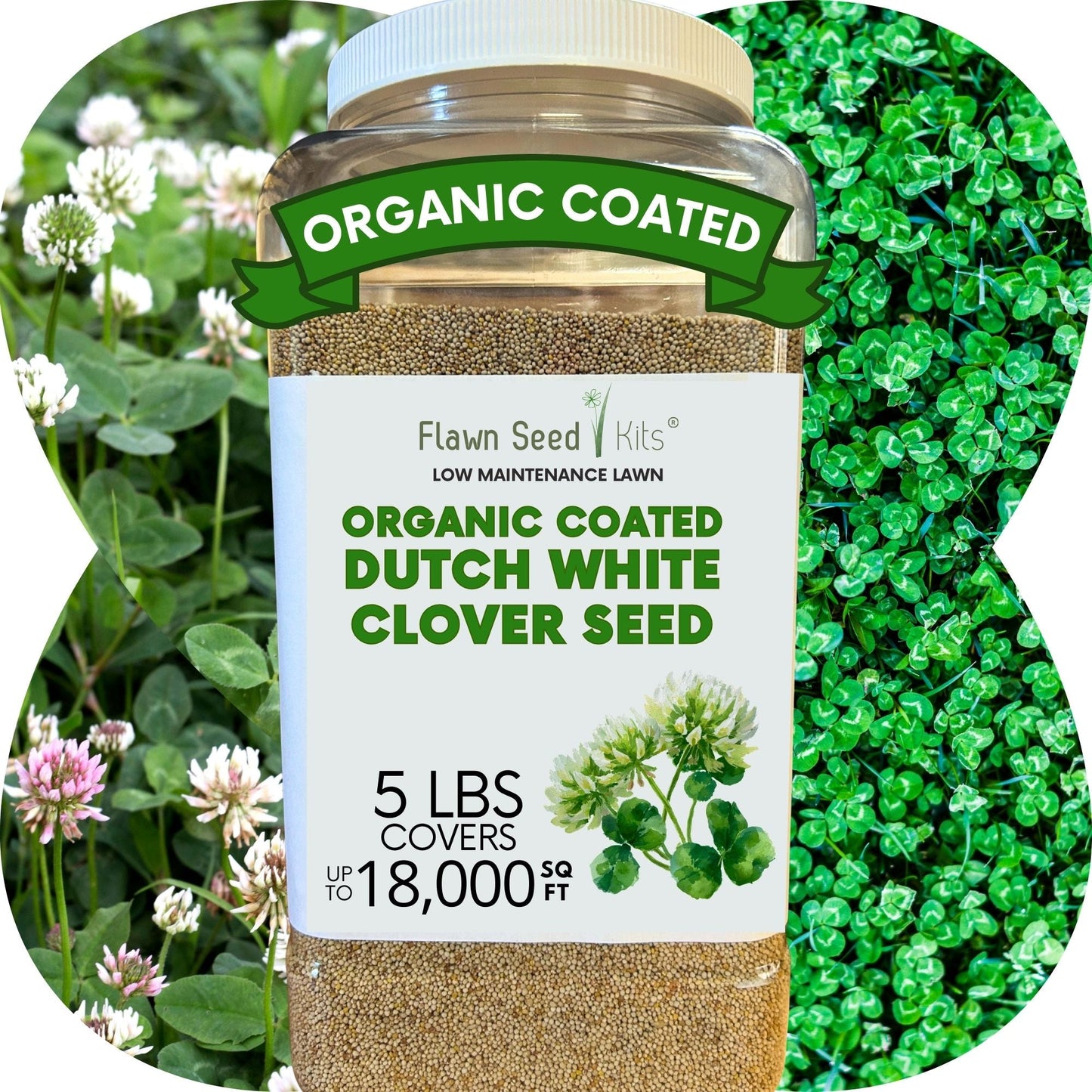 Dutch White Clover Seed