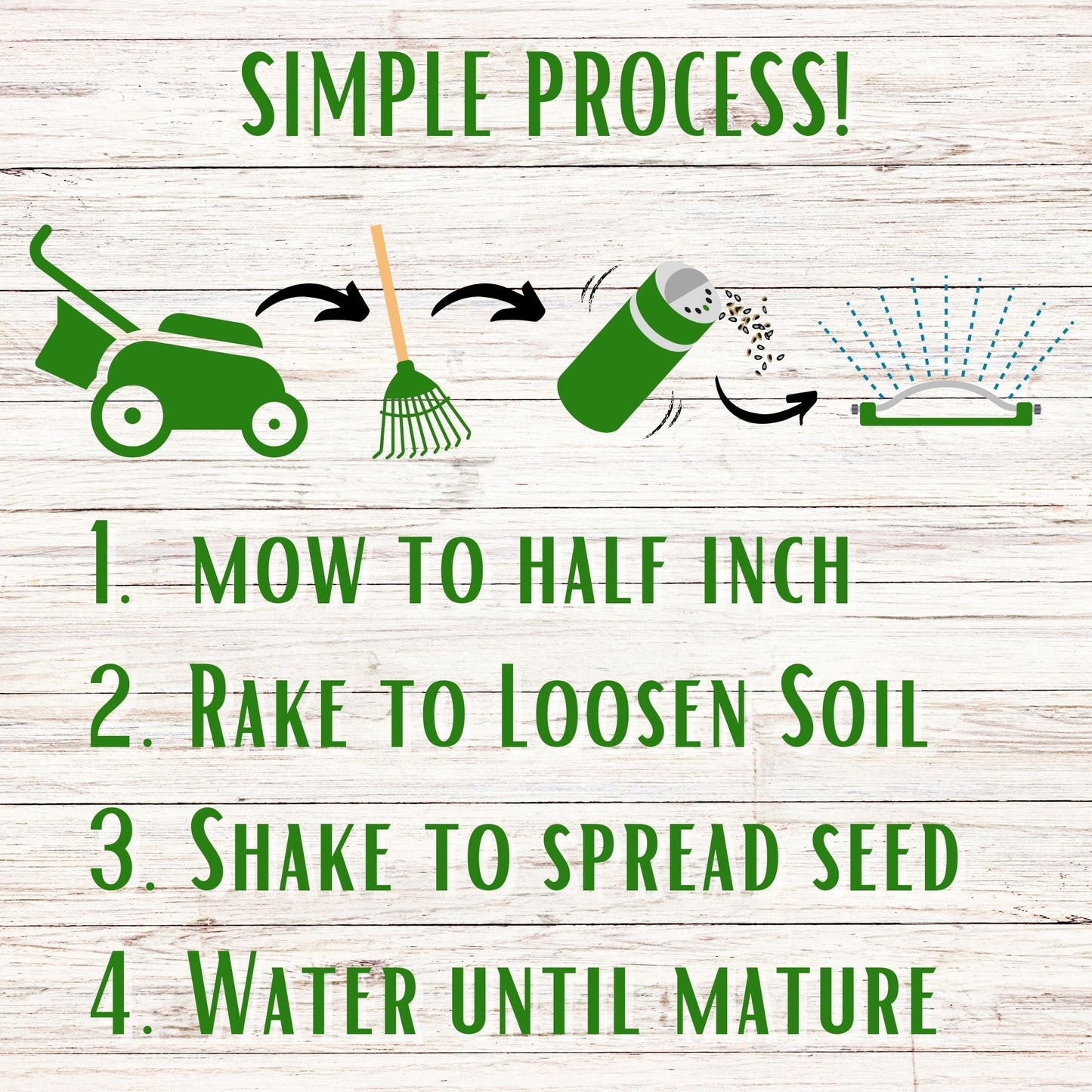 Dutch White Clover Easy Spread Shaker