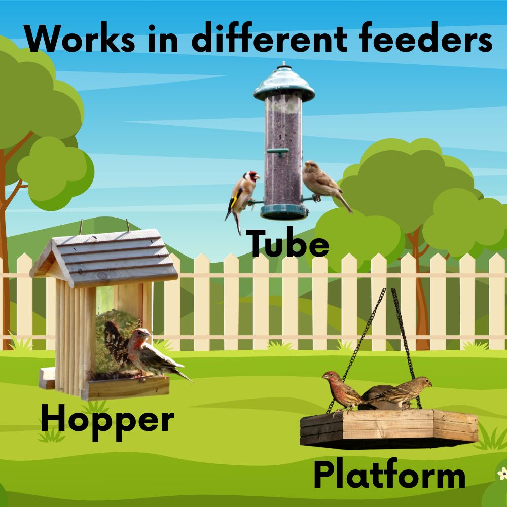 Cardinal & Finch Feast Wild Bird Seed Blend