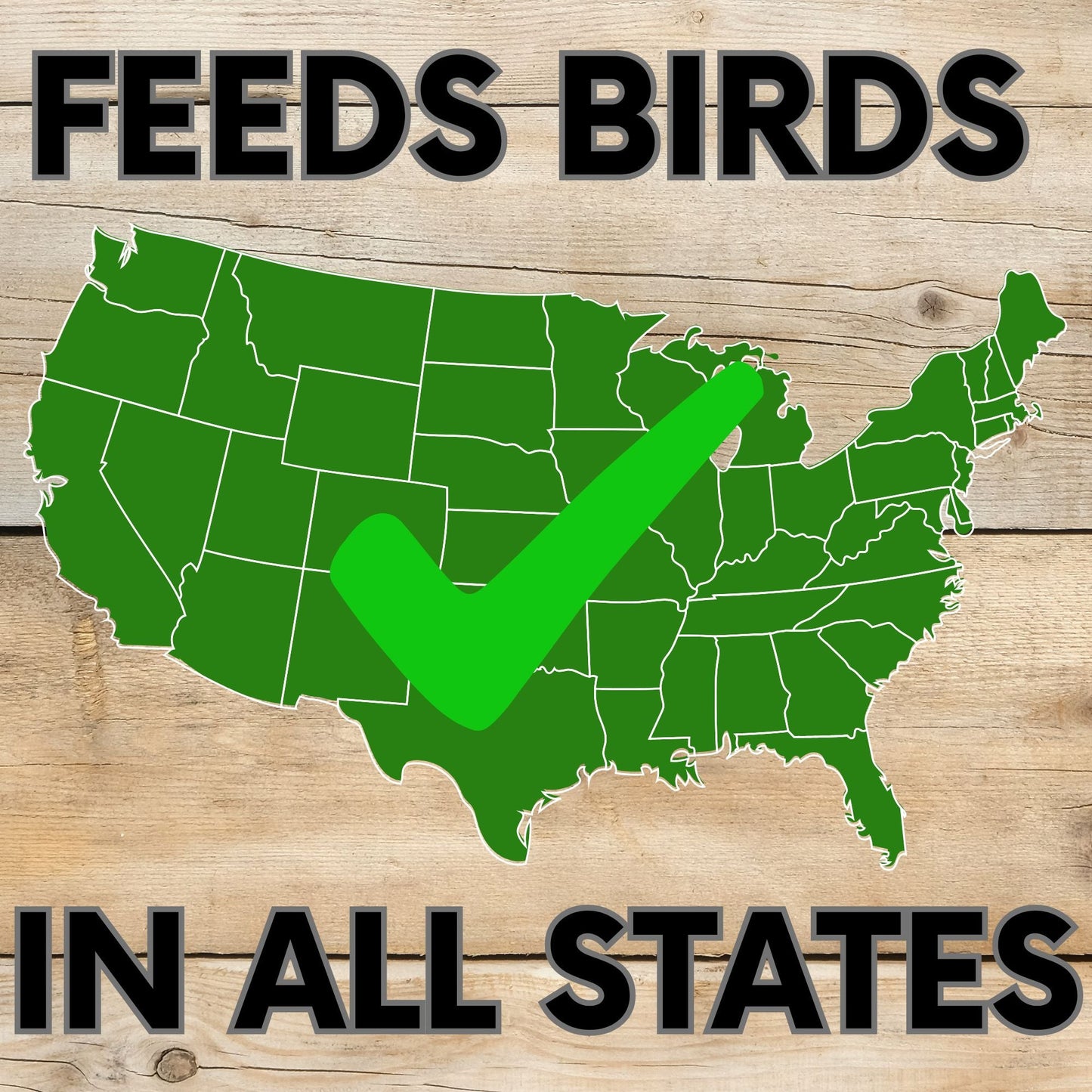 Pollinator & Wild Bird Seed Thick Bee Lawn Blend