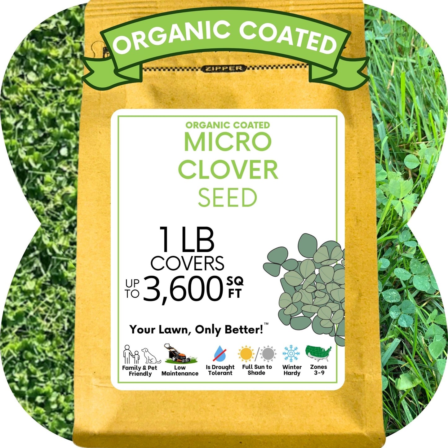 Micro Clover Seed
