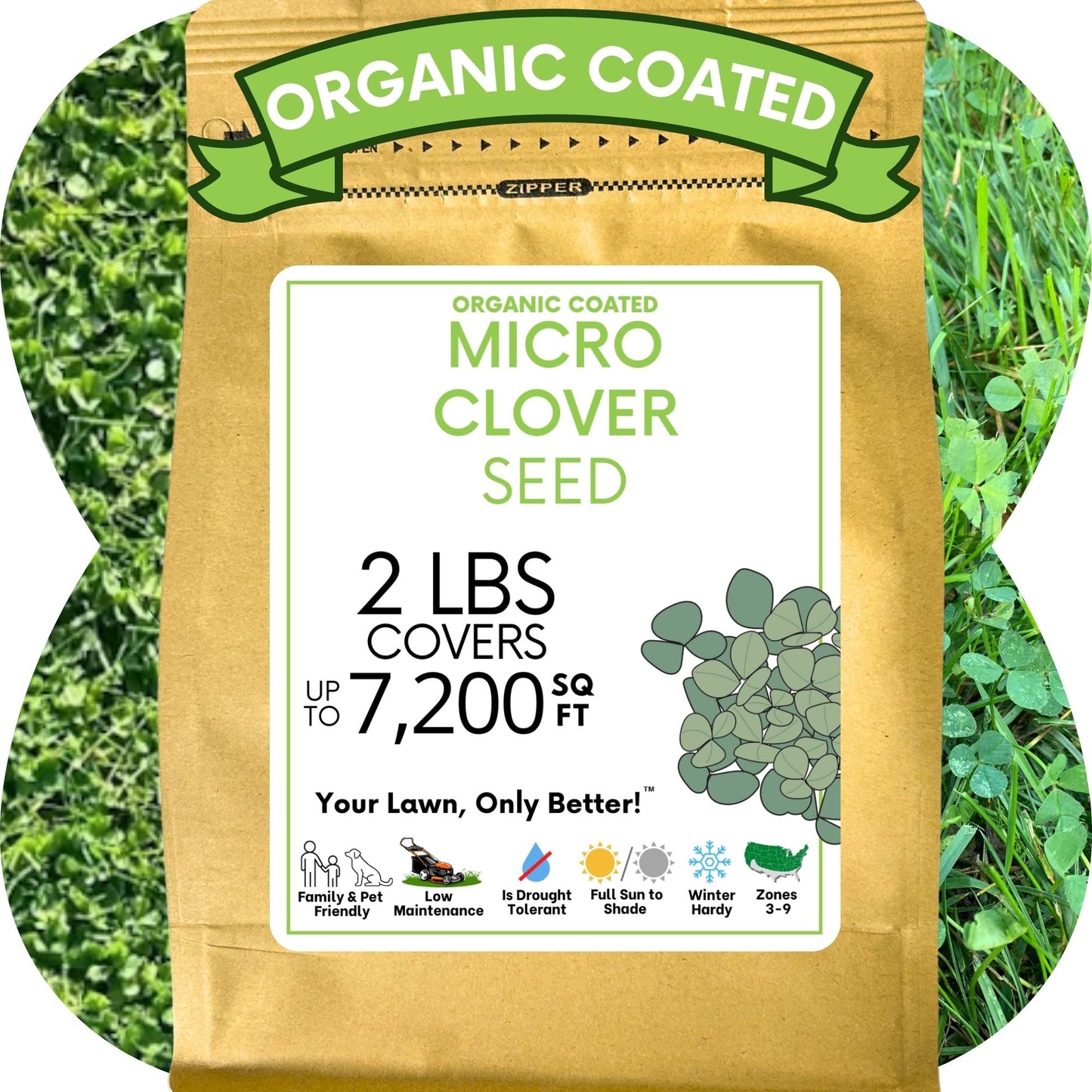 Micro Clover Seed