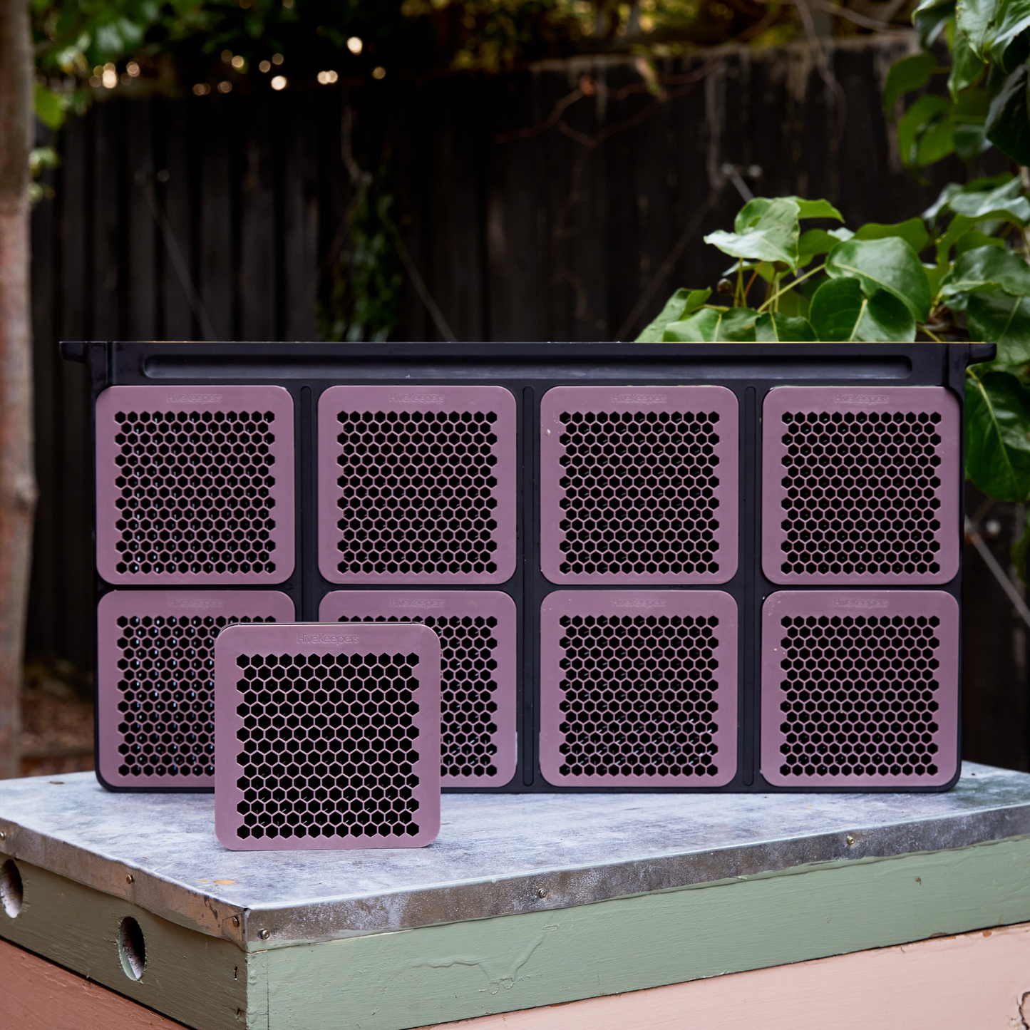 Replacement Cassettes for Micro Honey Harvester | HiveKeepers PRE-ORDER