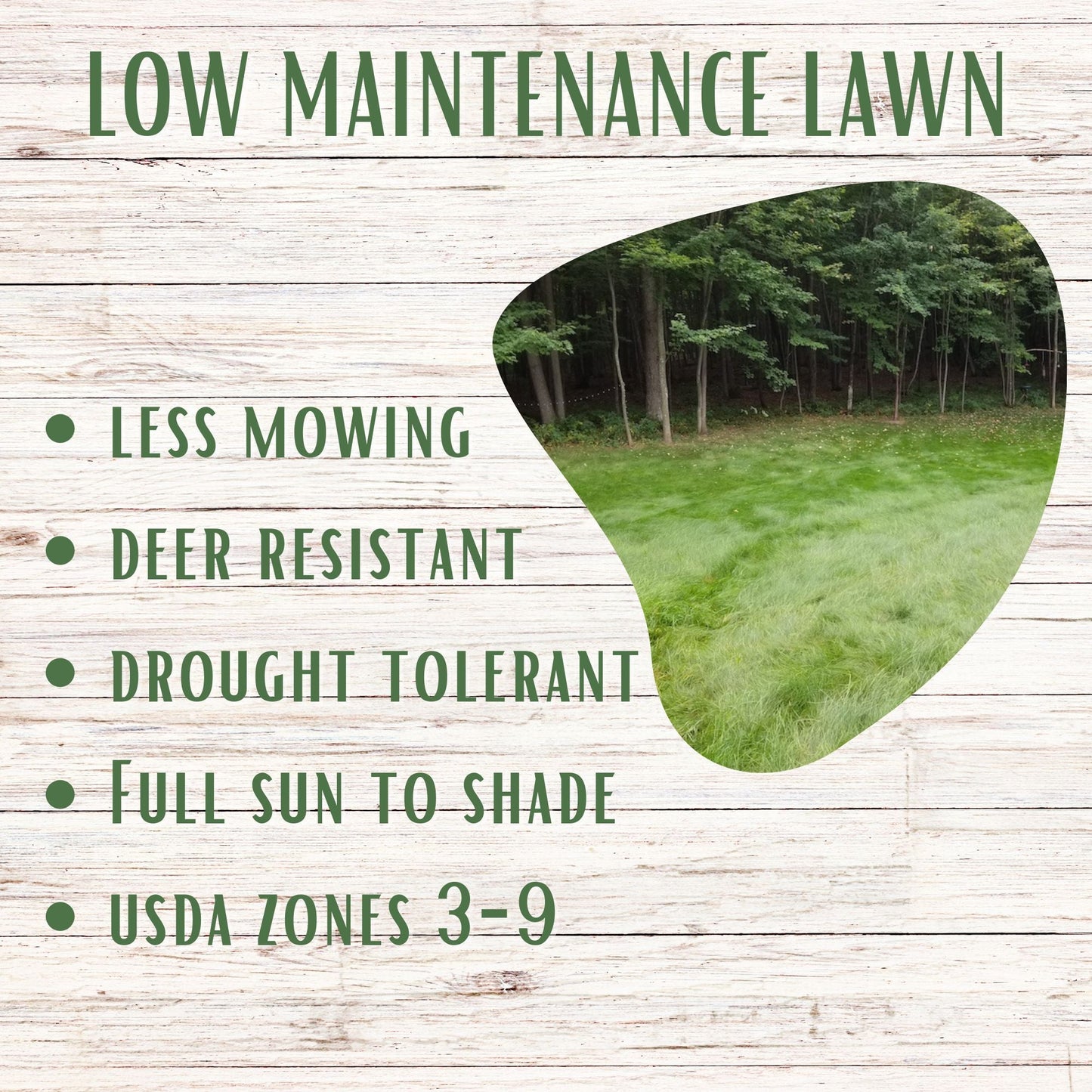 Premium Mow Less Grass Seed