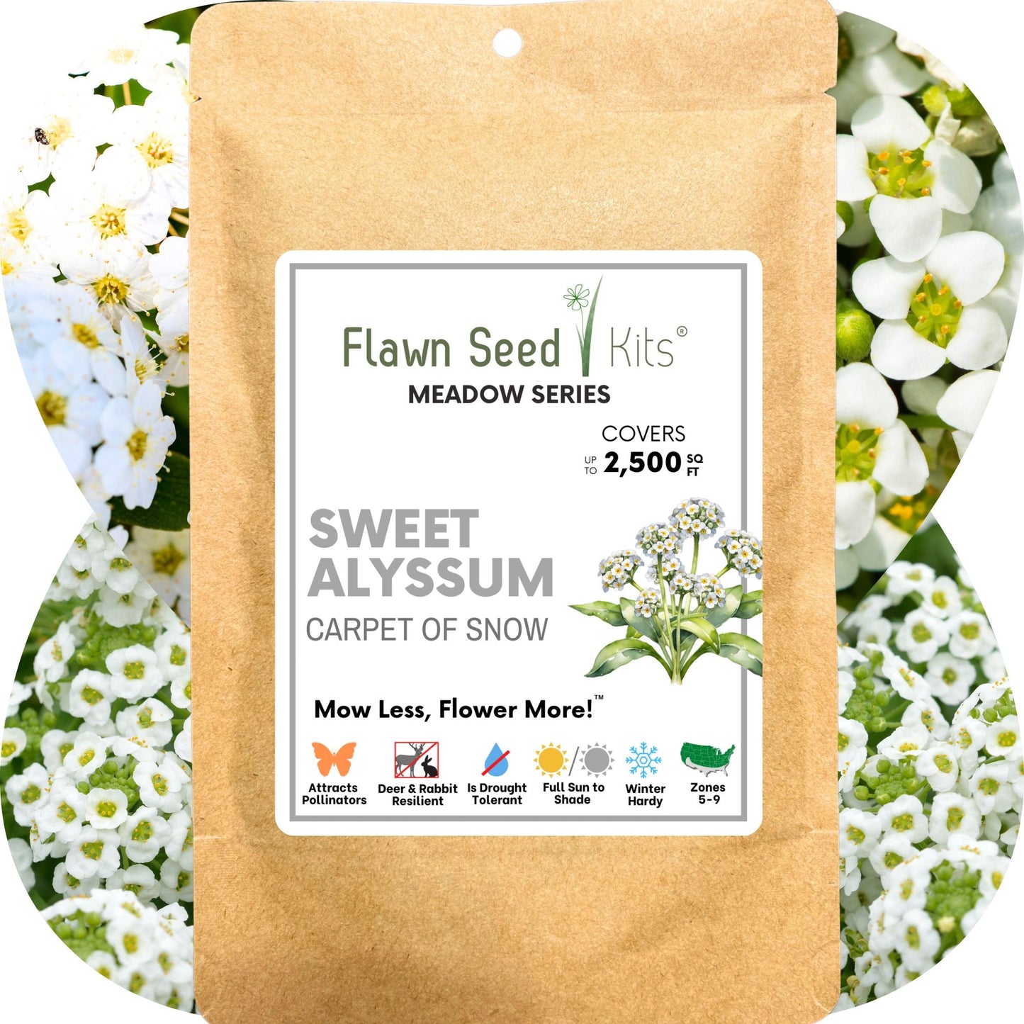 Sweet Alyssum Carpet Of Snow Seed Pouch