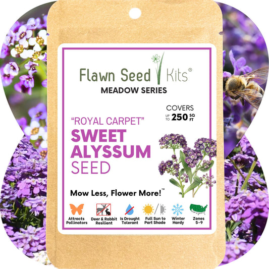 Sweet Alyssum Royal Carpet Seed Pouch