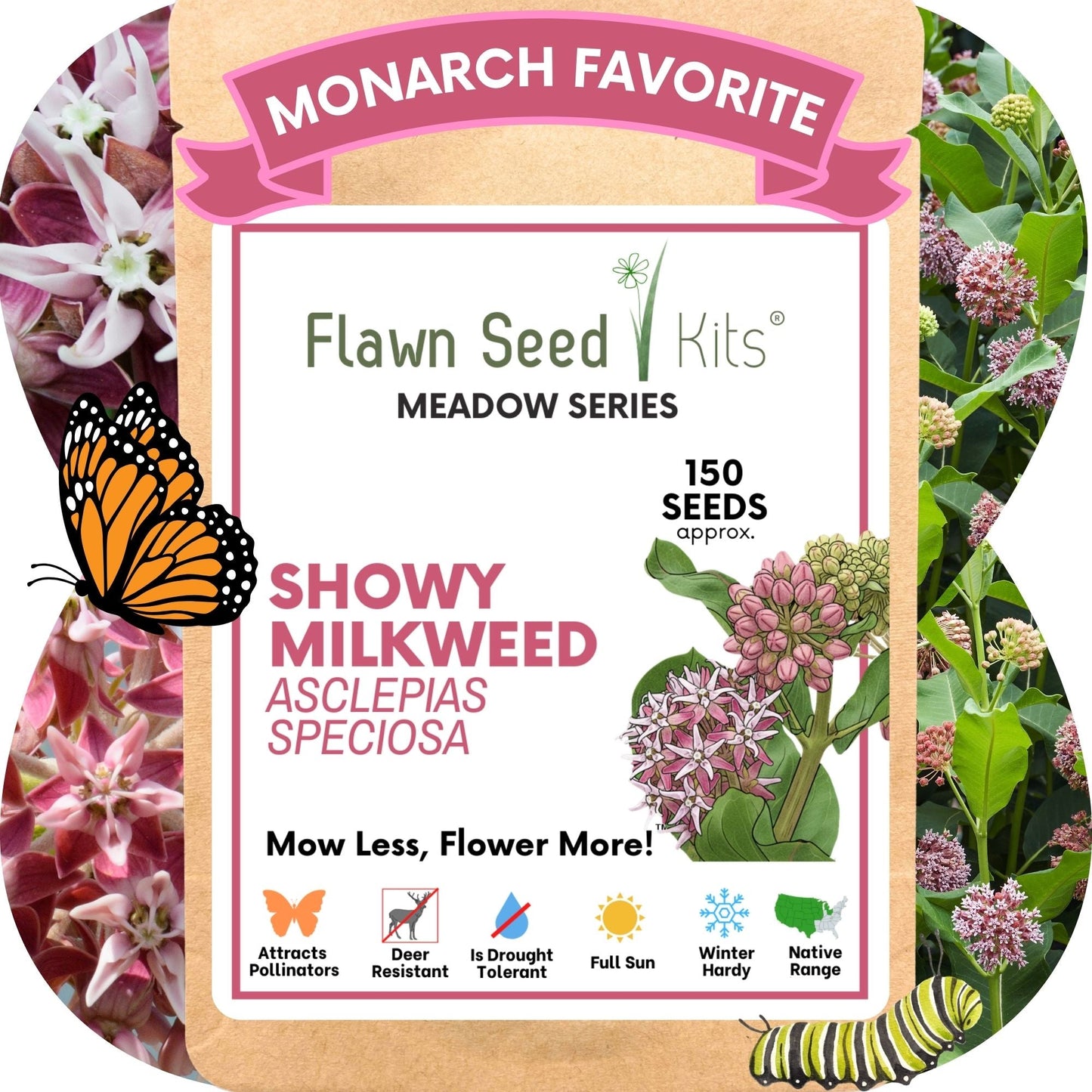 Showy Milkweed Seed Pouch