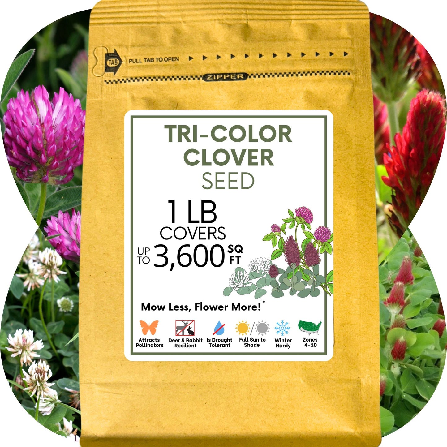 Tri-Color Clover Seed Blend