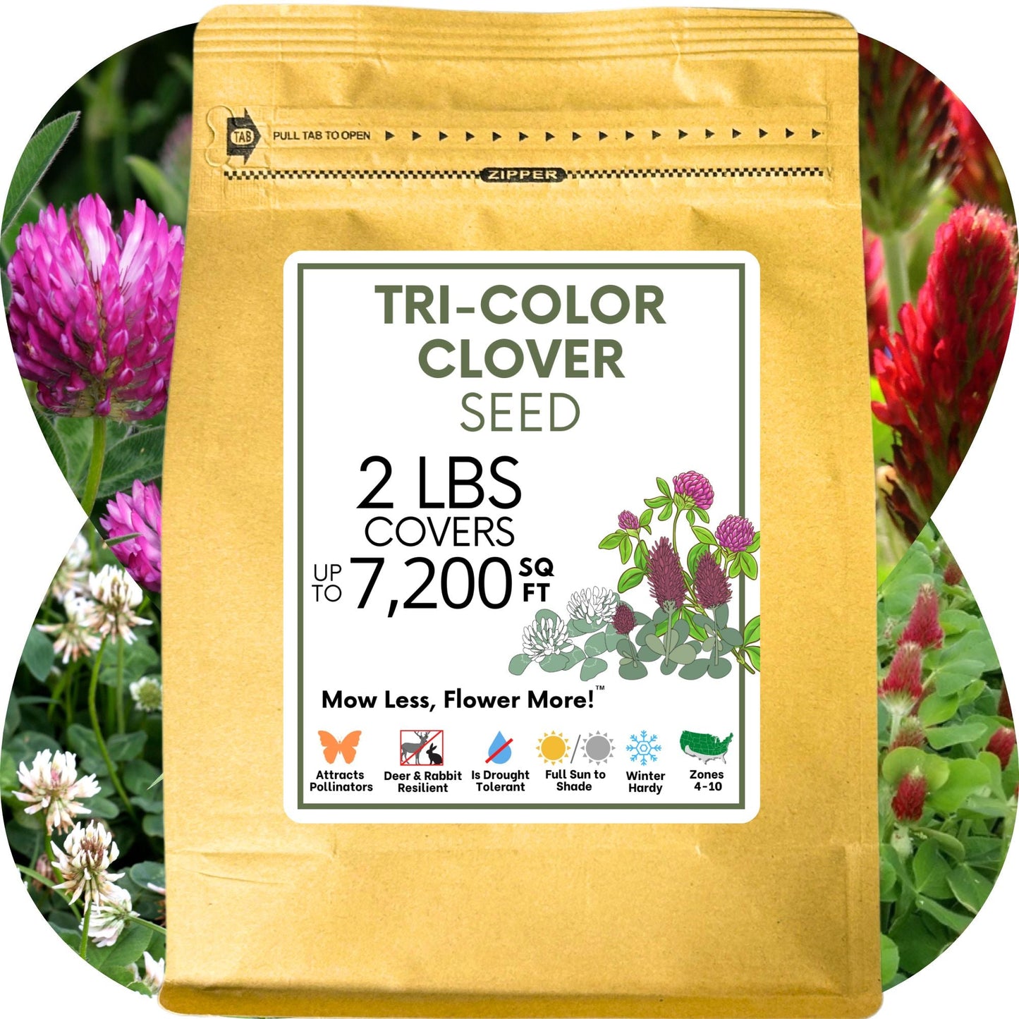 Tri-Color Clover Seed Blend