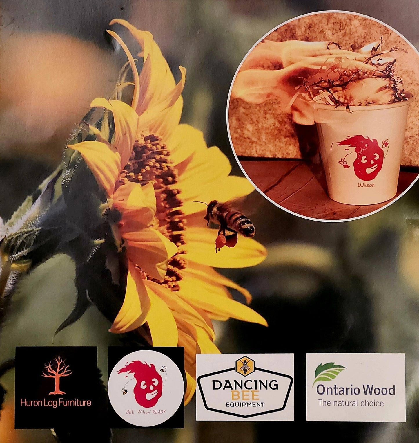 WILSON | Natural Fire Starter